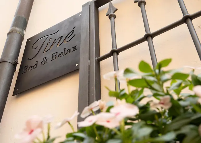 Oda ve Kahvaltı Tine Bed & Relax 3*